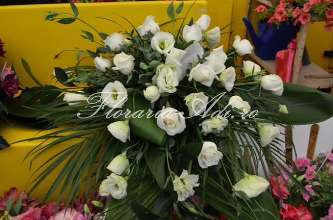 arajamente nunta arad