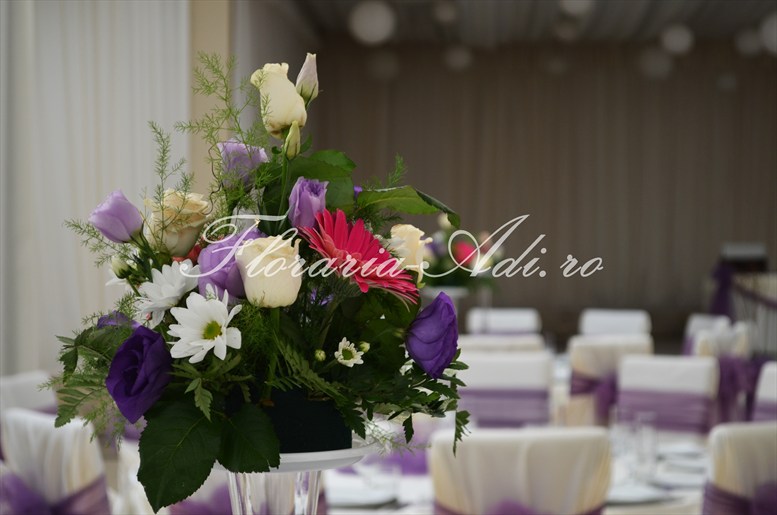 arajamente nunta arad