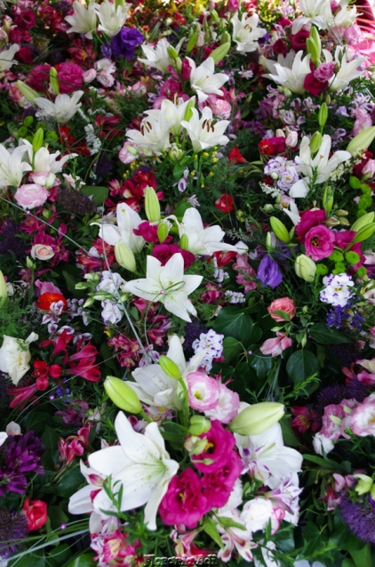 arajamente nunta arad