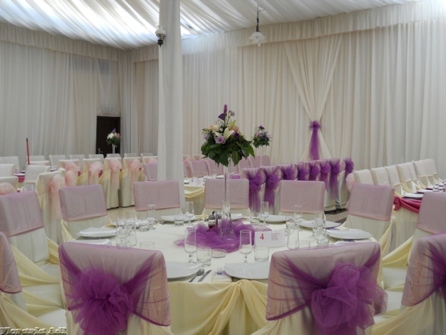 arajamente nunta arad