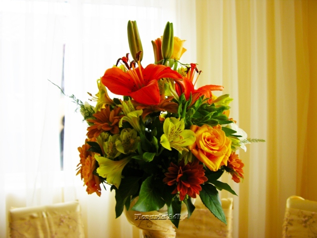 arajamente nunta arad