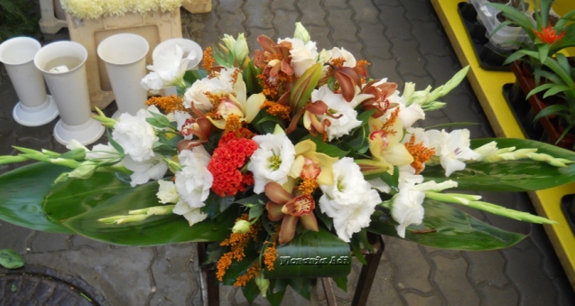 arajamente nunta arad