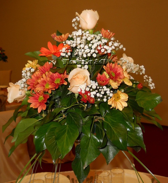 arajamente nunta arad