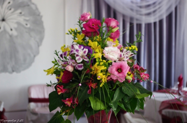 arajamente nunta arad